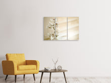 Laden Sie das Bild in den Galerie-Viewer, Leinwandbild 3-teilig Orchidee im Glas