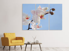 Laden Sie das Bild in den Galerie-Viewer, Leinwandbild 3-teilig Orchidee im Himmel