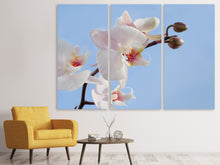 Laden Sie das Bild in den Galerie-Viewer, Leinwandbild 3-teilig Orchidee im Himmel