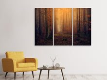 Laden Sie das Bild in den Galerie-Viewer, Leinwandbild 3-teilig Geheimnisvoller Wald