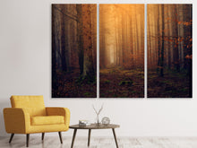 Laden Sie das Bild in den Galerie-Viewer, Leinwandbild 3-teilig Geheimnisvoller Wald