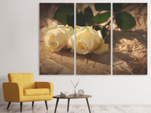 Laden Sie das Bild in den Galerie-Viewer, Leinwandbild 3-teilig Die Reinheit der Rosen