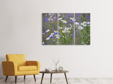 Laden Sie das Bild in den Galerie-Viewer, Leinwandbild 3-teilig Wilde Blumenwiese