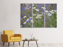 Laden Sie das Bild in den Galerie-Viewer, Leinwandbild 3-teilig Wilde Blumenwiese