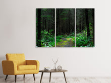 Laden Sie das Bild in den Galerie-Viewer, Leinwandbild 3-teilig Wilder Wald