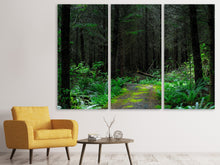 Laden Sie das Bild in den Galerie-Viewer, Leinwandbild 3-teilig Wilder Wald