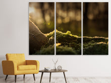 Laden Sie das Bild in den Galerie-Viewer, Leinwandbild 3-teilig Das Moos