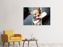 Laden Sie das Bild in den Galerie-Viewer, Leinwandbild 3-teilig Gehorsamer Chihuahua