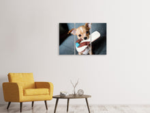 Laden Sie das Bild in den Galerie-Viewer, Leinwandbild 3-teilig Gehorsamer Chihuahua