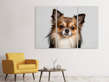 Laden Sie das Bild in den Galerie-Viewer, Leinwandbild 3-teilig Süsser Chihuahua