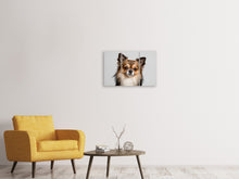 Laden Sie das Bild in den Galerie-Viewer, Leinwandbild 3-teilig Süsser Chihuahua