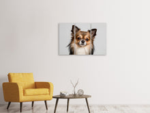 Laden Sie das Bild in den Galerie-Viewer, Leinwandbild 3-teilig Süsser Chihuahua