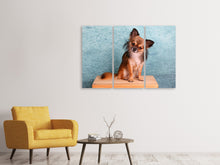 Laden Sie das Bild in den Galerie-Viewer, Leinwandbild 3-teilig Typisch Chihuahua