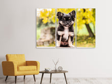 Laden Sie das Bild in den Galerie-Viewer, Leinwandbild 3-teilig Niedliche Chihuahua Welpe