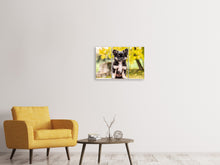 Laden Sie das Bild in den Galerie-Viewer, Leinwandbild 3-teilig Niedliche Chihuahua Welpe