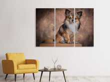 Laden Sie das Bild in den Galerie-Viewer, Leinwandbild 3-teilig Chihuahua Portrait