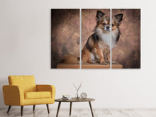 Laden Sie das Bild in den Galerie-Viewer, Leinwandbild 3-teilig Chihuahua Portrait