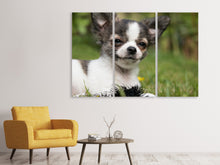 Laden Sie das Bild in den Galerie-Viewer, Leinwandbild 3-teilig Chihuahua zum Verlieben