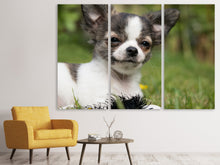 Laden Sie das Bild in den Galerie-Viewer, Leinwandbild 3-teilig Chihuahua zum Verlieben