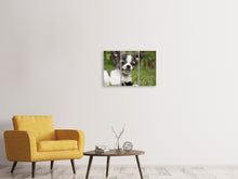Laden Sie das Bild in den Galerie-Viewer, Leinwandbild 3-teilig Chihuahua zum Verlieben