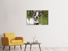 Laden Sie das Bild in den Galerie-Viewer, Leinwandbild 3-teilig Chihuahua zum Verlieben