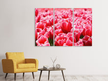 Laden Sie das Bild in den Galerie-Viewer, Leinwandbild 3-teilig Fröhliches Tulpenfeld