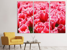 Laden Sie das Bild in den Galerie-Viewer, Leinwandbild 3-teilig Fröhliches Tulpenfeld
