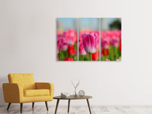 Laden Sie das Bild in den Galerie-Viewer, Leinwandbild 3-teilig Tulpenfeld in rosa-rot