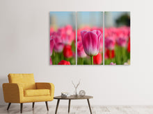 Laden Sie das Bild in den Galerie-Viewer, Leinwandbild 3-teilig Tulpenfeld in rosa-rot