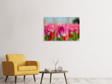 Laden Sie das Bild in den Galerie-Viewer, Leinwandbild 3-teilig Tulpenfeld in rosa-rot