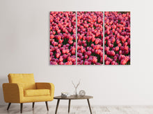 Laden Sie das Bild in den Galerie-Viewer, Leinwandbild 3-teilig Üppiges Tulpenfeld