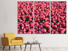 Laden Sie das Bild in den Galerie-Viewer, Leinwandbild 3-teilig Üppiges Tulpenfeld