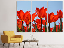 Laden Sie das Bild in den Galerie-Viewer, Leinwandbild 3-teilig Rote Tulpen XL