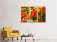 Laden Sie das Bild in den Galerie-Viewer, Leinwandbild 3-teilig Close up Tulpenfeld
