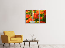 Laden Sie das Bild in den Galerie-Viewer, Leinwandbild 3-teilig Close up Tulpenfeld