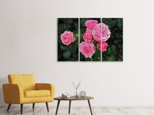 Laden Sie das Bild in den Galerie-Viewer, Leinwandbild 3-teilig Die wilden Rosen in pink