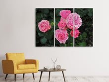 Laden Sie das Bild in den Galerie-Viewer, Leinwandbild 3-teilig Die wilden Rosen in pink