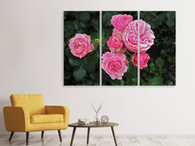Laden Sie das Bild in den Galerie-Viewer, Leinwandbild 3-teilig Die wilden Rosen in pink