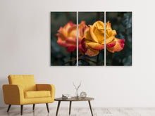 Laden Sie das Bild in den Galerie-Viewer, Leinwandbild 3-teilig Die Rose im Garten
