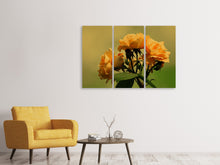 Laden Sie das Bild in den Galerie-Viewer, Leinwandbild 3-teilig Die Rosen in der Natur