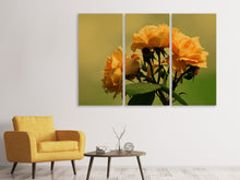 Laden Sie das Bild in den Galerie-Viewer, Leinwandbild 3-teilig Die Rosen in der Natur