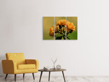 Laden Sie das Bild in den Galerie-Viewer, Leinwandbild 3-teilig Die Rosen in der Natur