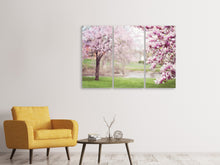 Laden Sie das Bild in den Galerie-Viewer, Leinwandbild 3-teilig Schöne Magnolien
