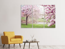 Laden Sie das Bild in den Galerie-Viewer, Leinwandbild 3-teilig Schöne Magnolien