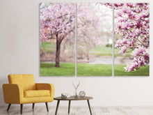 Laden Sie das Bild in den Galerie-Viewer, Leinwandbild 3-teilig Schöne Magnolien