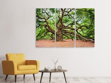Laden Sie das Bild in den Galerie-Viewer, Leinwandbild 3-teilig Die Eiche