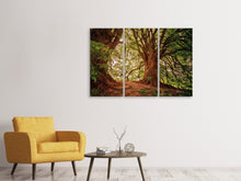 Laden Sie das Bild in den Galerie-Viewer, Leinwandbild 3-teilig Im dichten Wald