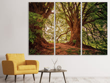 Laden Sie das Bild in den Galerie-Viewer, Leinwandbild 3-teilig Im dichten Wald