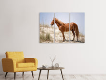 Laden Sie das Bild in den Galerie-Viewer, Leinwandbild 3-teilig Wilder spanischer Mustang