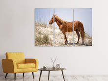 Laden Sie das Bild in den Galerie-Viewer, Leinwandbild 3-teilig Wilder spanischer Mustang